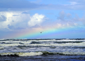 Wellen Regenbogen Möwe